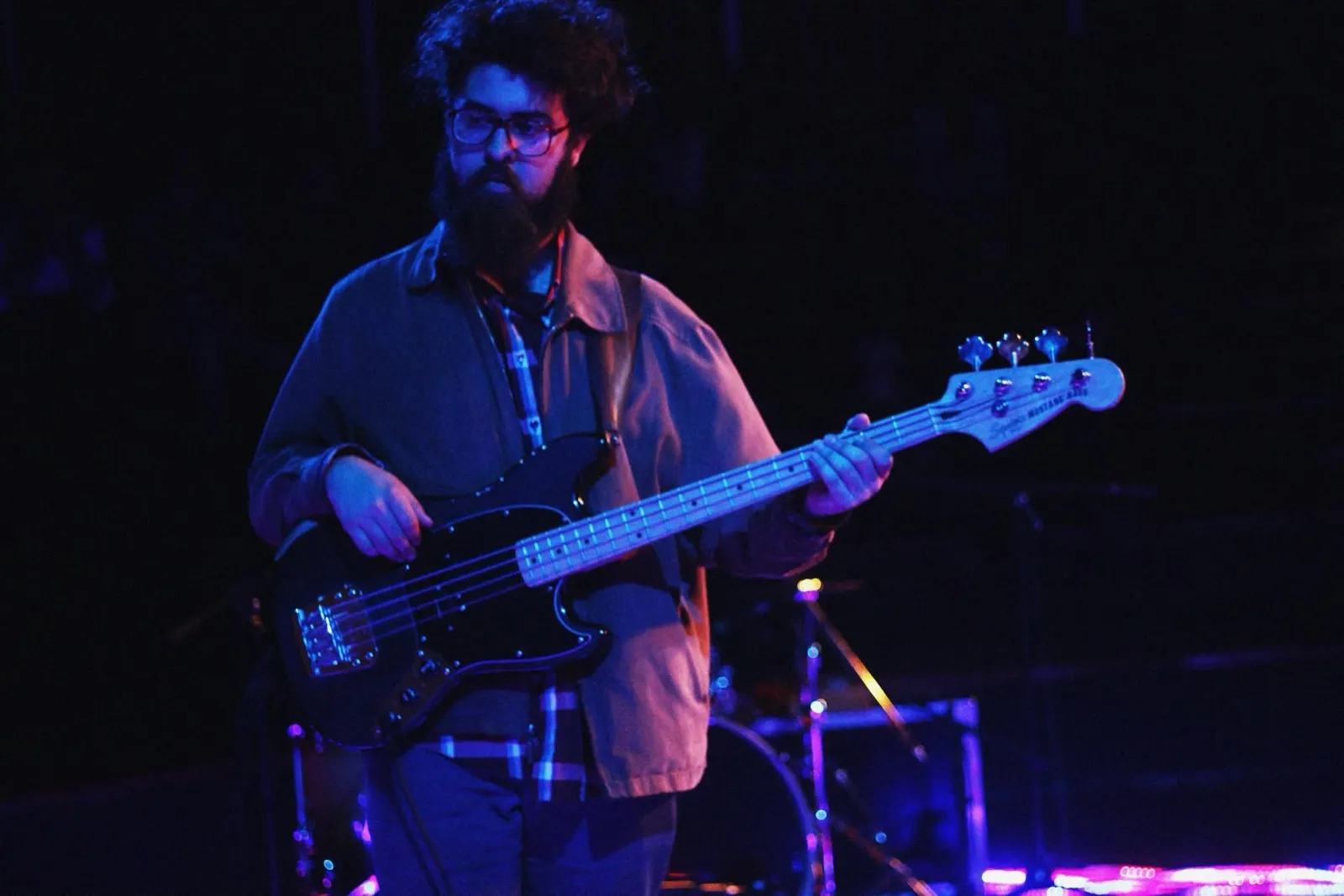 Prehistóricos en concierto